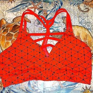 Victoria's Secret sports bra